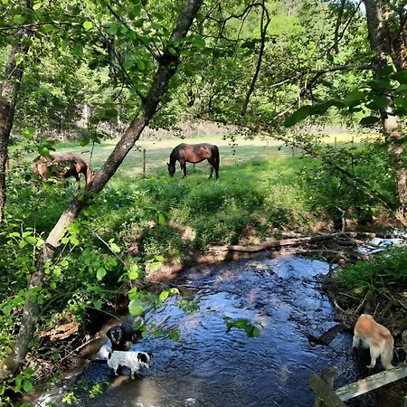 Lenzenhaus Holiday home Wallscheid