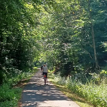 Holiday home Lenzenhaus *